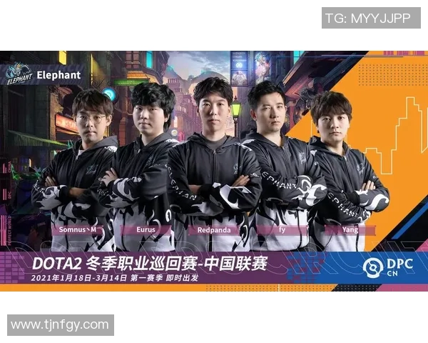 dota2职业比赛s1-Dota 2 职业比赛 S1，荣耀与策略的巅峰对决-dota2职业比赛s1